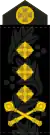 中将