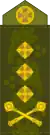 中将