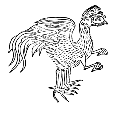 𪁺𩿧(明朝·胡文焕《山海经图》)