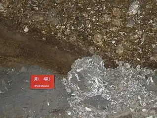 圓山遺址貝塚模型