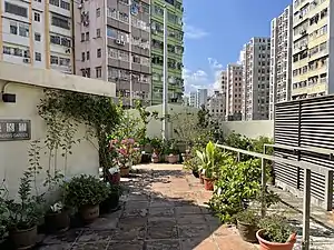 天台活化後用作中藥園圃