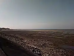 香山區香山濕地