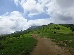 东灵山一带的草甸