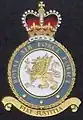 英國皇家空軍憲兵飾章