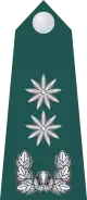 韓國陸軍中校肩章