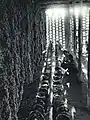 1964年 吐鲁番葡萄园晒制葡萄干