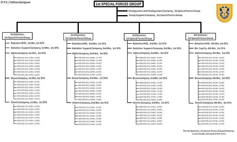 Current structure of the 1st SFG(A)