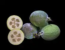 斐濟果Feijoa