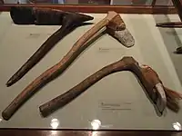 太平洋馬紹爾群島和雅浦群島收藏的錛－哈佛大學皮博迪考古與民族學博物館（英语：）－DSC05732