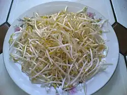 一盤新鮮未經烹煮的綠豆芽