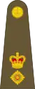 英國陸軍中校肩章