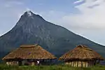 布基馬營位於山野山脈山谷，是剛果山地大猩猩的家園