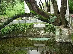 蝴蝶泉