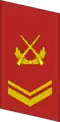 武警上士