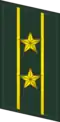 武警中校
