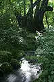 冰之山後山那岐山國定公園（靜川平）