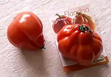 牛排番茄Beefsteak tomato