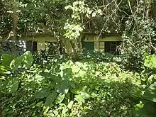 泰安公立學校