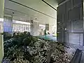 第二期第一座地面設健身區