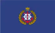 巴林海军军旗