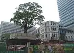 改建中的前尖沙咀水警總區總部地盤（2006年8月）