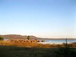 水庫儲水區