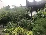 花园中的亭子