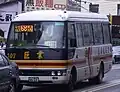 巨業行駛時期小型巴士車型