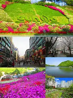 上：修理山站附近的军浦市logo下右：衿井洞（朝鲜语：）的樱花、半月水库、军浦洞（朝鲜语：）的公寓下左：山本新都市（朝鲜语：）、山踯躅园
