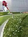 城市鑰匙