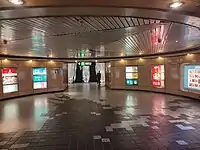 連接D出口的地庫通道地板鋪設了珠江三角洲的地圖圖案