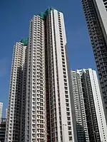 天頌苑L及K座進行修復工程