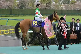 2014年冠軍「織女星」