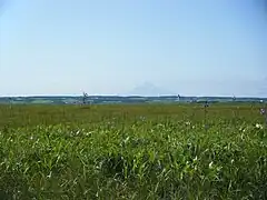 佐呂別原生花園（2009年8月）