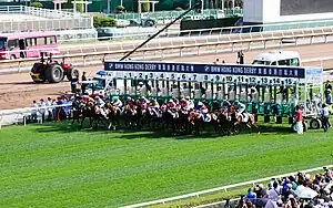 2024年香港打吡大賽賽事開始時馬匹出閘