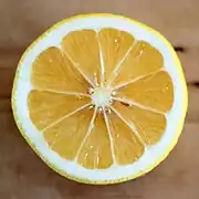 日向夏Hyuganatsu