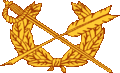 美國陸軍軍法領章