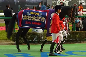 2010年冠軍「拳壇奇蹟」
