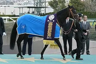 2011年冠軍「拳壇奇蹟」