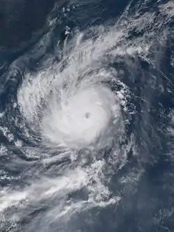 巨爵在10月17日打開風眼，邁向強度巔峰，其風眼顯而易見。
