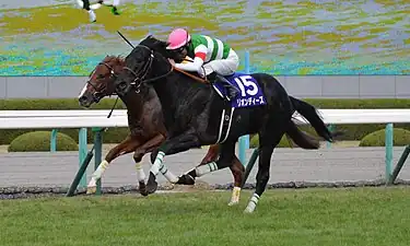 2015年冠軍「醋丈夫」