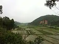 廉江市长山镇作长山河水田