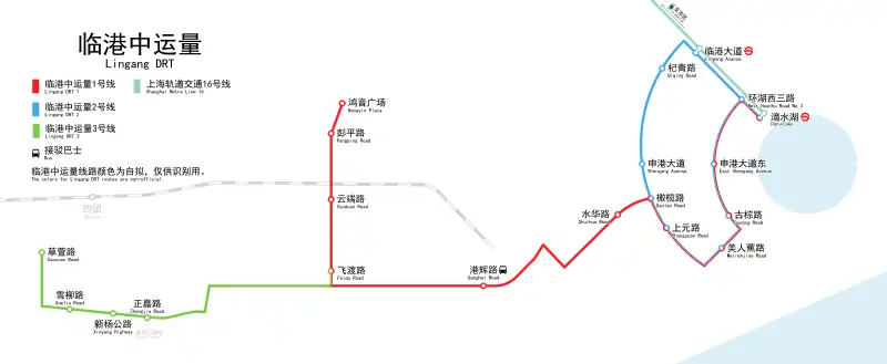 临港中运量系统地图(截至2023年7月)