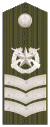 六级士官