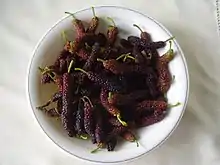 長果桑Long mulberry