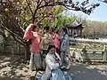 九江市甘棠湖畔着漢服赏花的大学生们