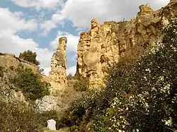 陆良县沙林