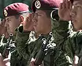 墨軍傘兵