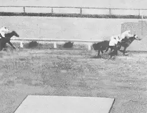 1942年冠軍「Minami Homare」