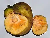 野波羅蜜Monkey fruit